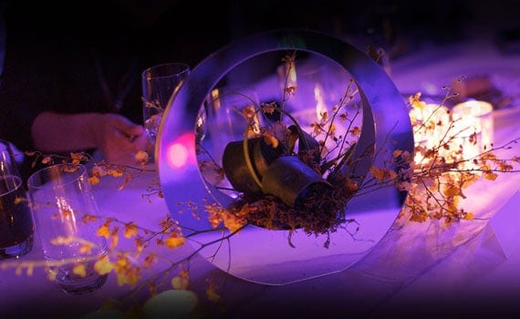 Sydney harbour event cruises