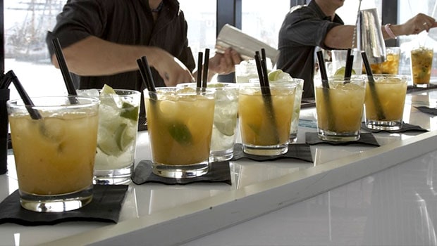 Sydney harbour cockatail party charter cruises