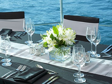 party cruise sydney